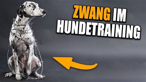 Wir müssen Klartext reden Zwingen im Hundetraining YouTube