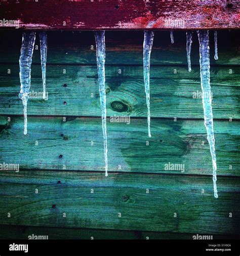 Icicles Hanging From Garden Shed During Beast From The East Severe