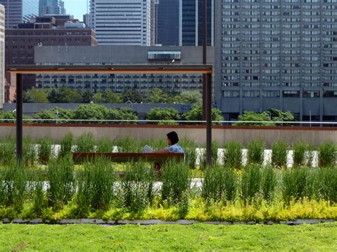 Nps Podium Roof Garden Plant Architect And Perkinswill Canada Archdaily