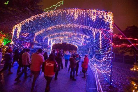 Zilker Park Christmas Lights 2021