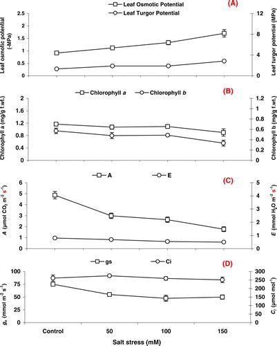 Full Article Salt Stress Affects Water Relations Photosynthesis And