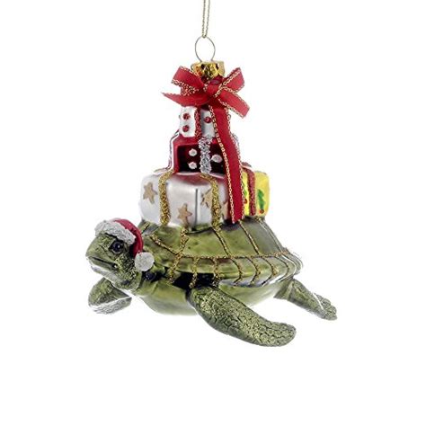 15 Incredibly Special Gift Ideas for Turtle Lovers They Will Actually Want