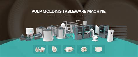 Beston Pulp Molding Tableware Machine Beston Waste Recycling Plant