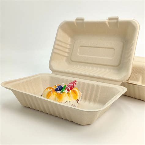 Disposable Compostable Clamshell Lunch Box Sugarcane Fibre Bagasse