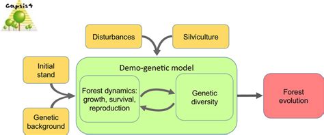 Schematic Representation Of The Eco‐evolutionary Feedback Loop