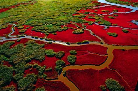 The Red Beach, China | Geology, Formation » Geologyscience