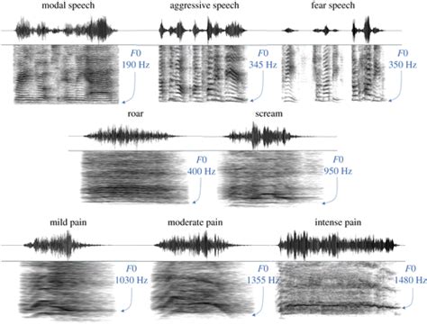 Individual Differences In Human Voice Pitch Are Preserved From Speech