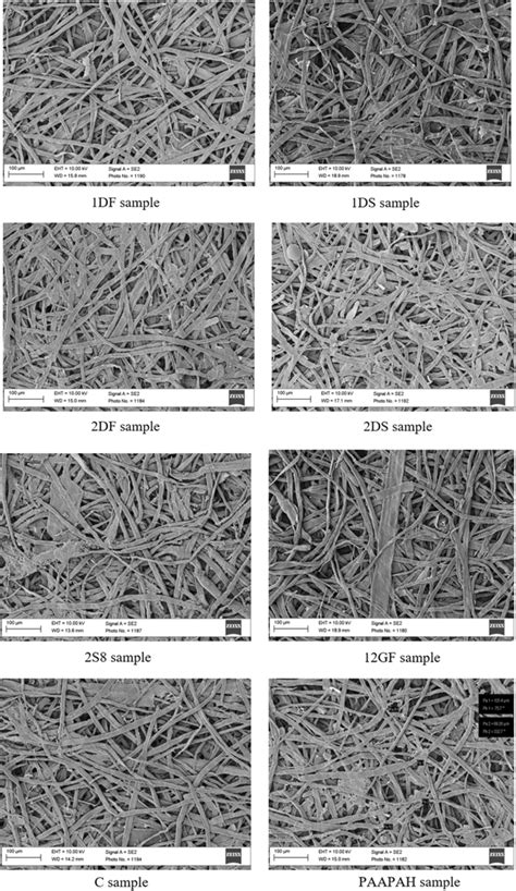 Sem Micrographs Showing The Cellulose Fibers Before And After