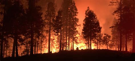 Los últimos siete años los más cálidos de la historia Natura