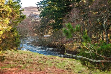 Hiking Trail in Cairngorms National Park. Aberdeenshire, Scotland, UK ...