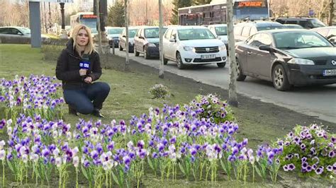 Se Intorc Panselutele In Sectorul 3 Robert Negoita Vrea Sa Dea O Suma