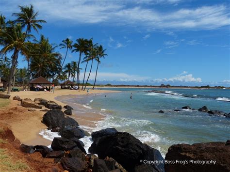 Salt Pond Beach Park Boss Frogs Snorkel Bike And Beach Rentals