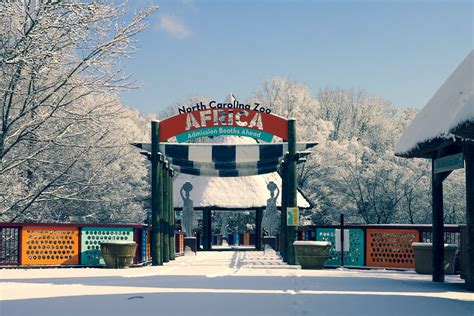 How Big Is The Nc Zoo: Exploring Its Vast Size