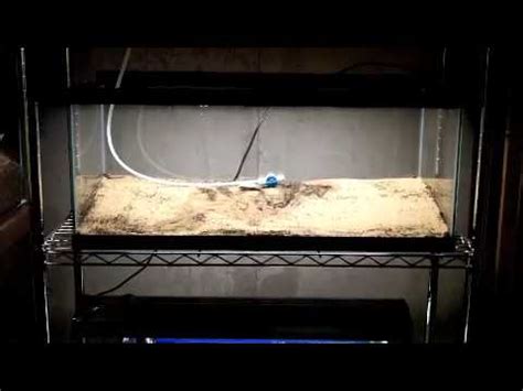 How I Dirted My Planted Fish Tank Aquarium Substrate Youtube