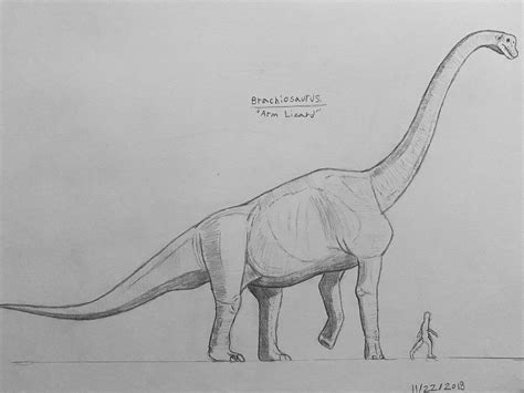 Brachiosaurus By Buddyro181 On Deviantart