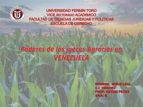 Poderes De Los Jueces Agrarios En Venezuela Ppt