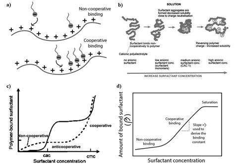 Self Assembly Of Polyelectrolyte Surfactant Complexes A Download Scientific Diagram