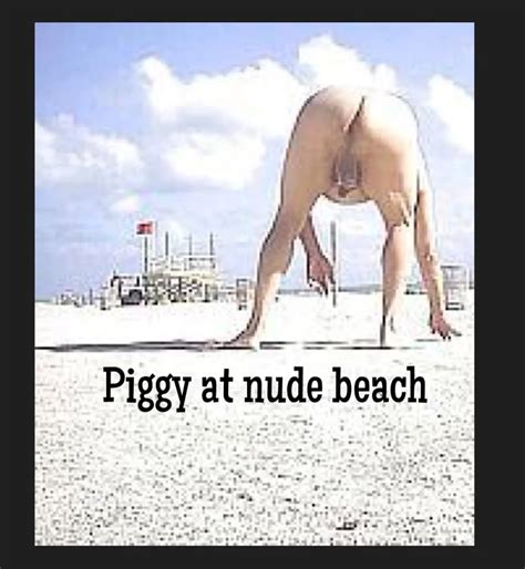 Piggy At Nude Beach 1 Pics XHamster