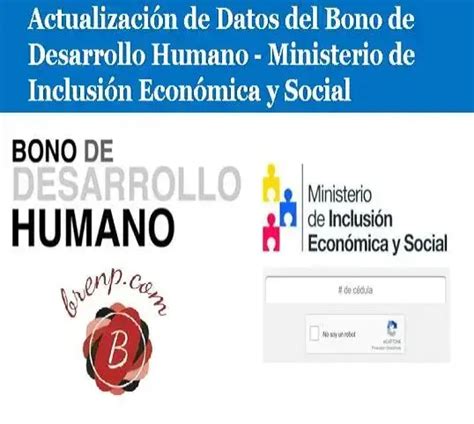 Actualizaci N De Datos Del Bono De Desarrollo Humano Mies Elyex