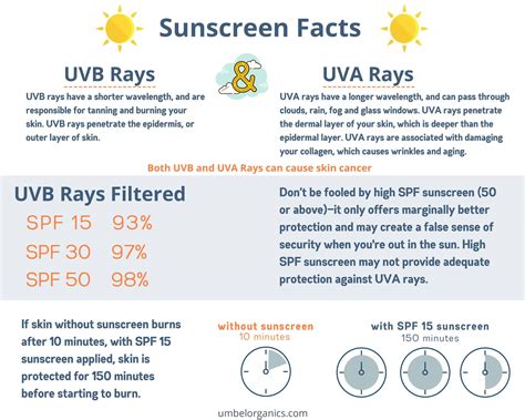 All About Mineral Sunscreen Umbel Organics