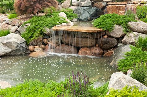 How to keep the garden pond clean and clear naturally - Aquigarden.com
