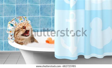 Funny Cat Taking Bath Toy Duck Stock Photo (Edit Now) 682725985