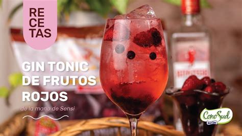 Gin Tonic De Frutos Rojos Conosud YouTube