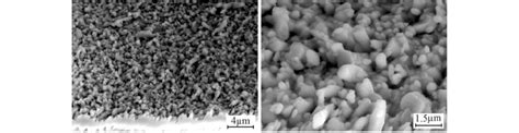 Top View Of Interfacial Imcs On Substrate Cu Pad After Assembly Reflow