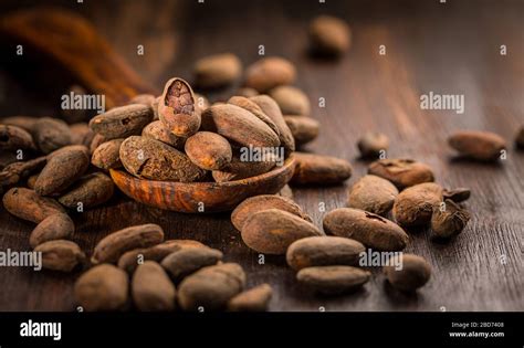 Cocoa Pod High Resolution Stock Photography And Images Alamy