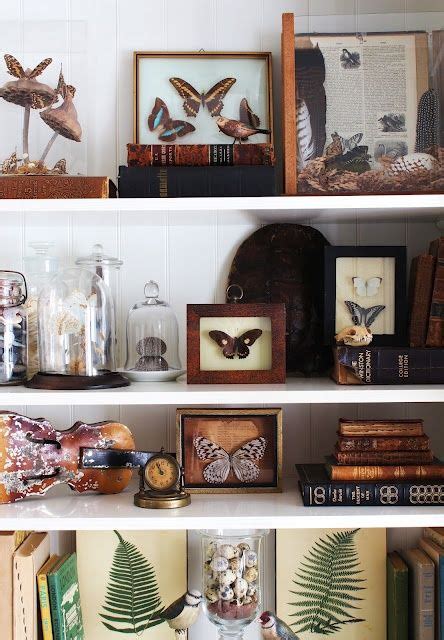 A Cabinet Of Curiosities Decor To Adore