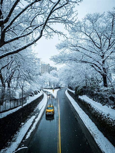 Como Nova York Em Fevereiro Guia Completo