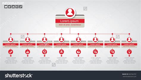 Rectangle Organization Chart Infographics People Icon Business Structure Vector Illustration