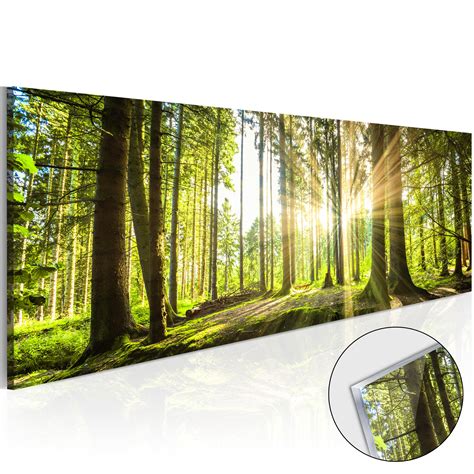 WALD LANDSCHAFT BAÜME Acrylglasbild Wandbild Glasbild Bilder c B 0077 k