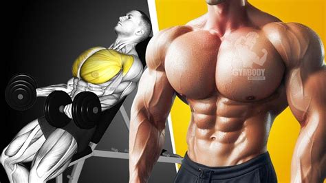 6 Big Chest Exercises Fastest For You Youtube