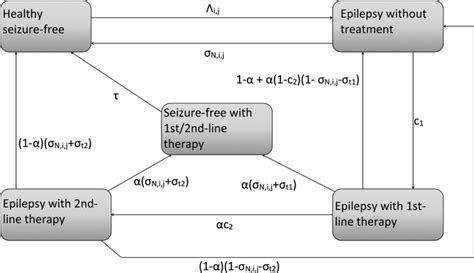 Epilepsy model Λi j is the incidence rate for age group i of sex j c1