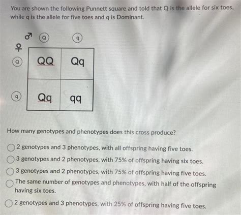 Solved Place The Following Events Of Mitosis In The Correct Chegg