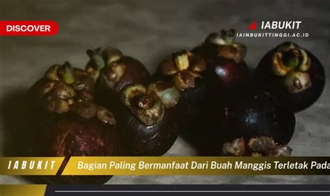 Intip 7 Manfaat Buah Manggis Yang Bikin Kamu Penasaran Discover