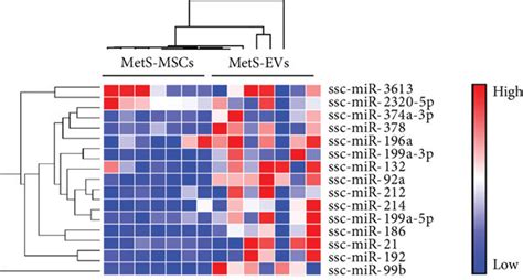 Mets Alters The Mirna Cargo Of Msc Derived Evs A Heat Map Of