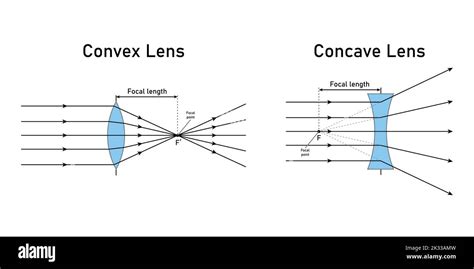 Diagrama Esquemático De Lentes Convexas Y Cóncavas En Física óptica