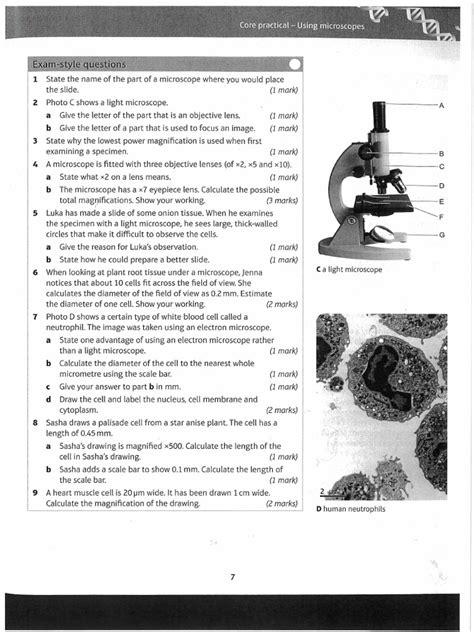 Microscopy Gcse Edexcel Questions Pdf