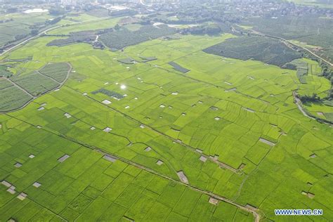 Chine Paysage D Un Bourg Au Guangxi French News Cn