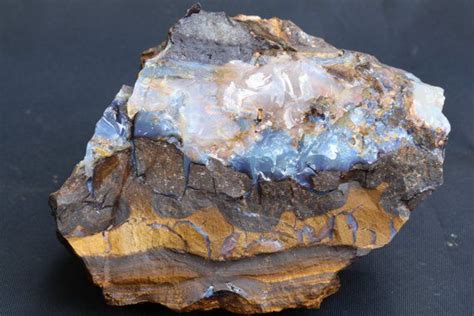 Raw Boulder Opal Mineral Specimen with Blue Opal in Ancient Rock ...