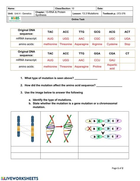 Genetic Mutations Worksheet Answer Key In Practices Worksheets