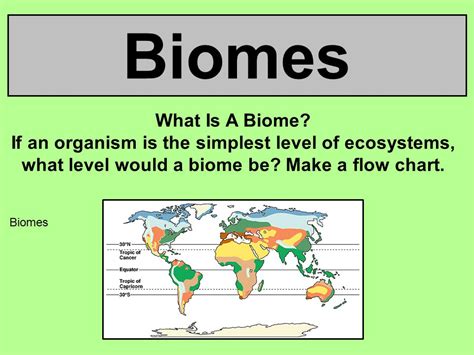 Biome Report Chart A Visual Reference Of Charts Chart Master