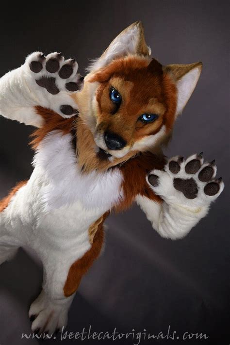 Gallery — Beetlecat Originals Furry Wolf Furry Fursuit