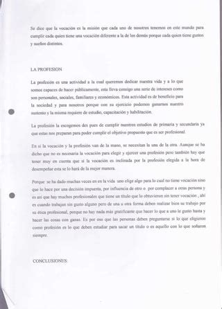 Profesion Vocacion Principios De La Loes PDF