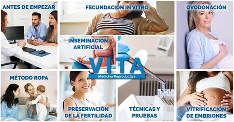 Tratamientos De Fertilidad Y Reproducción Asistida En Vita