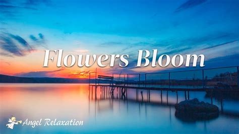 Flowers Bloom Relaxation Music For Stress Relief And Healing Sleep