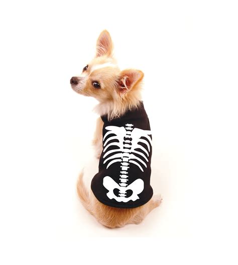 Skeleton Dog Costume | ubicaciondepersonas.cdmx.gob.mx