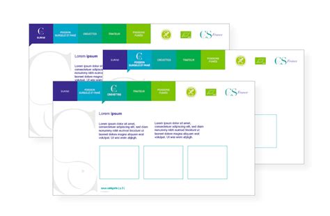 Identit Et D Clinaison Visuelle De Cs France X Co Conseil